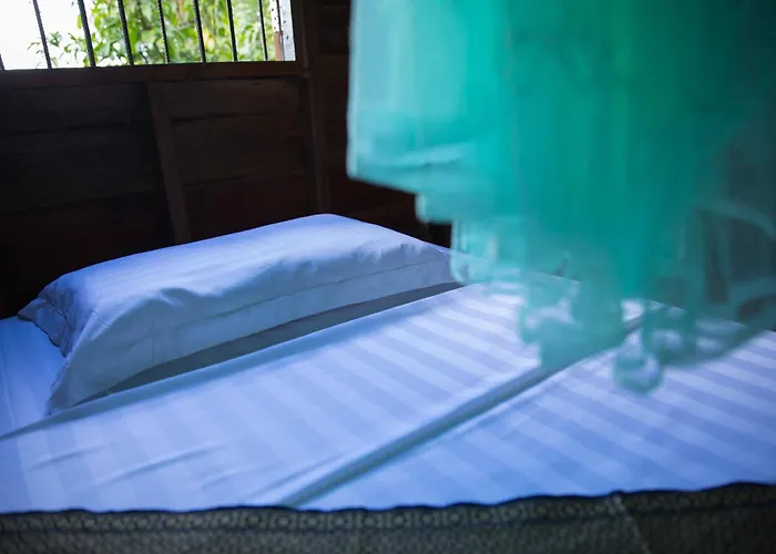 Séjour chez l'habitant Chansor 15 By Siem Reap Homesteading *