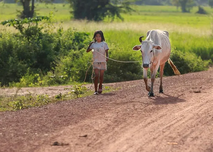 Chansor 15 By Siem Reap Homesteading Séjour chez l'habitant *