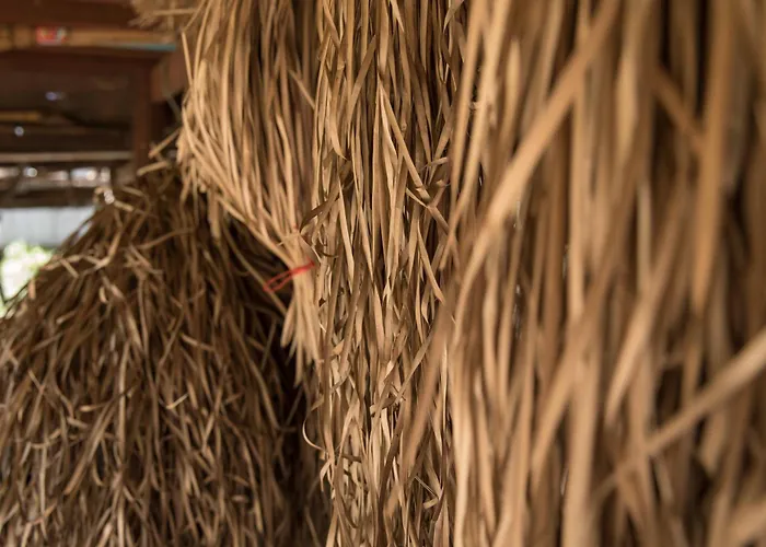 Séjour chez l'habitant Chansor 15 By Siem Reap Homesteading *