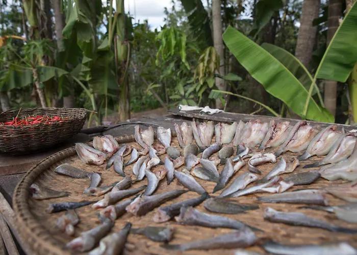 Chansor 15 By Siem Reap Homesteading Séjour chez l'habitant *