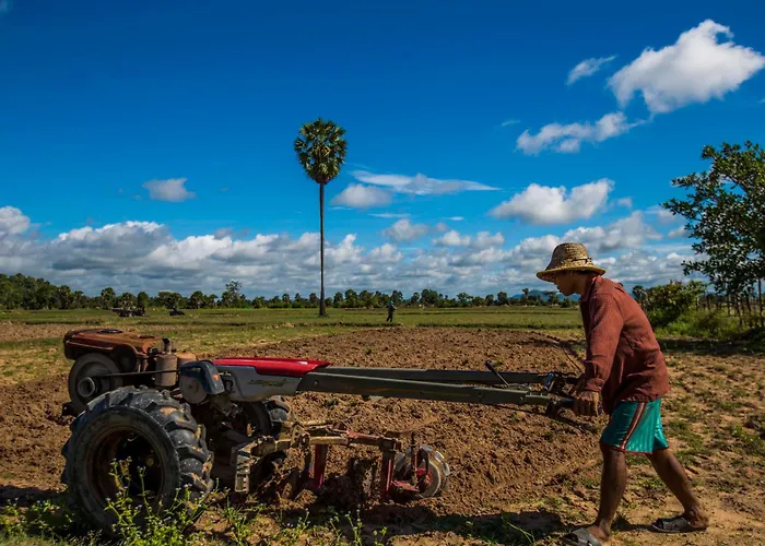 Chansor 15 By Siem Reap Homesteading