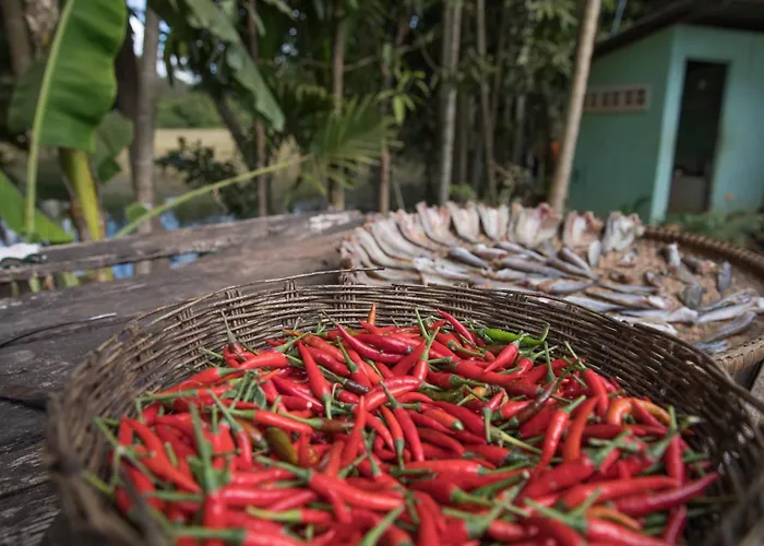 Chansor 15 By Siem Reap Homesteading *