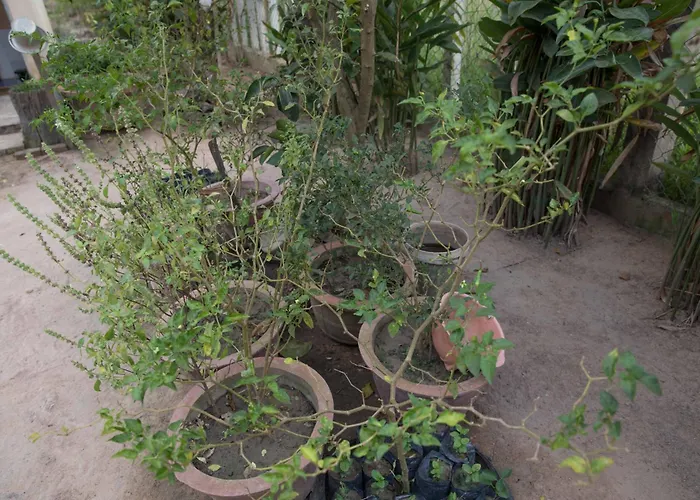 Séjour chez l'habitant Chansor 15 By Siem Reap Homesteading